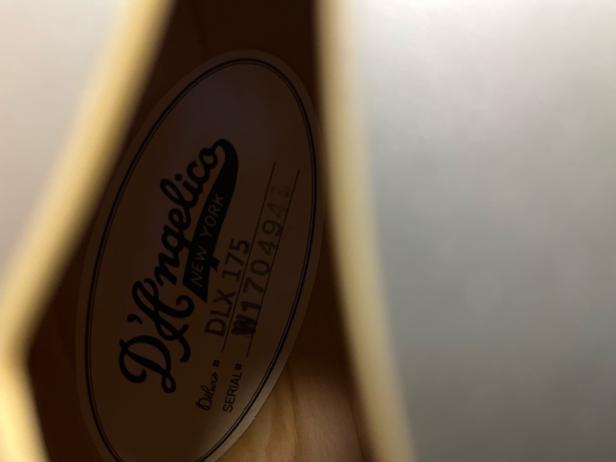D’ANGELICO DELUXE 175 6-STRING ELECTRIC GUITAR (H83005612)