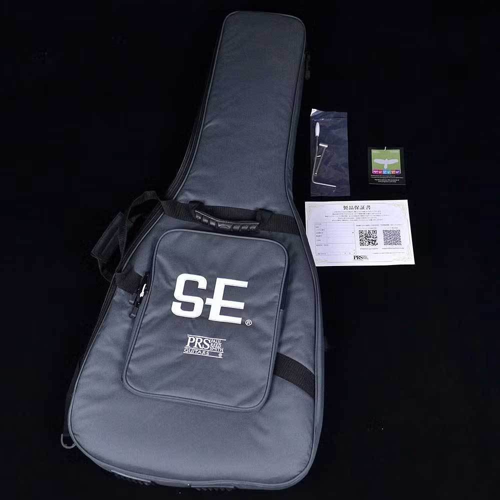 Paul Reed Smith(PRS) SE Silver Sky Platinum Spark SE #GG63g