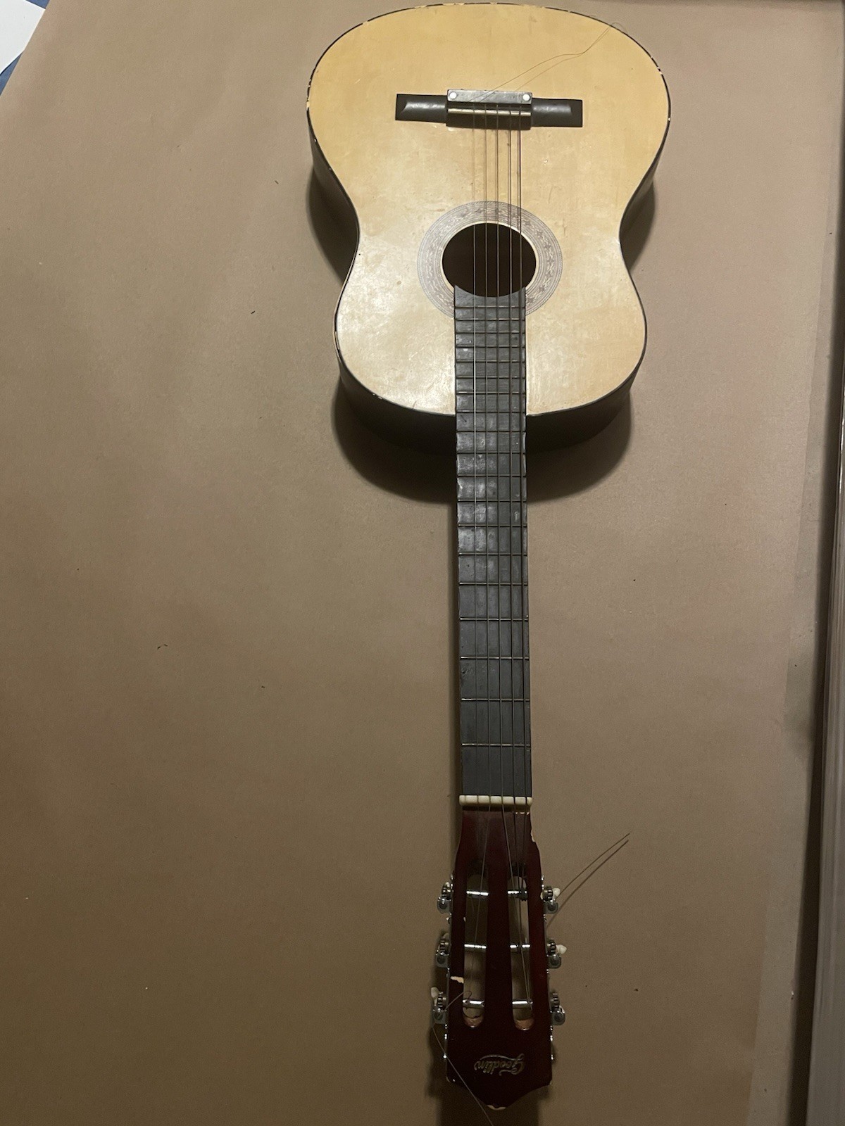 Goodlin Vintage Guitar – Rare Find, Great Condition, Warm Tone