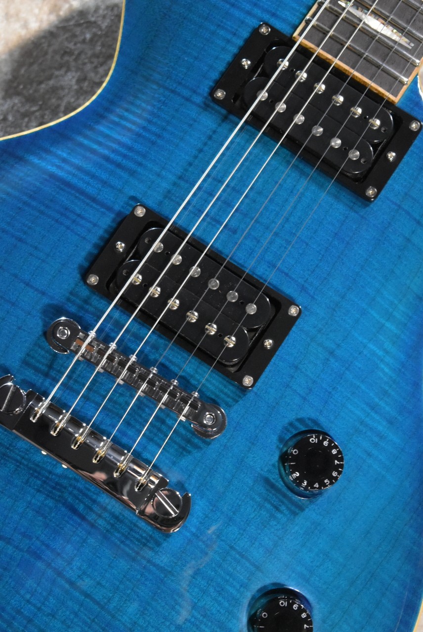 FUJIGEN(FGN) FGN EFL-FM/EB IB 3.95kg 2015 #GG27x