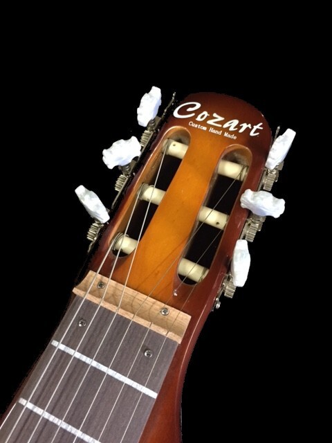 NEW 6 STRING STRAT STYLE CUSTOM HAWAIIAN LAP STEEL ELECTRIC GUITAR with GIG BAG