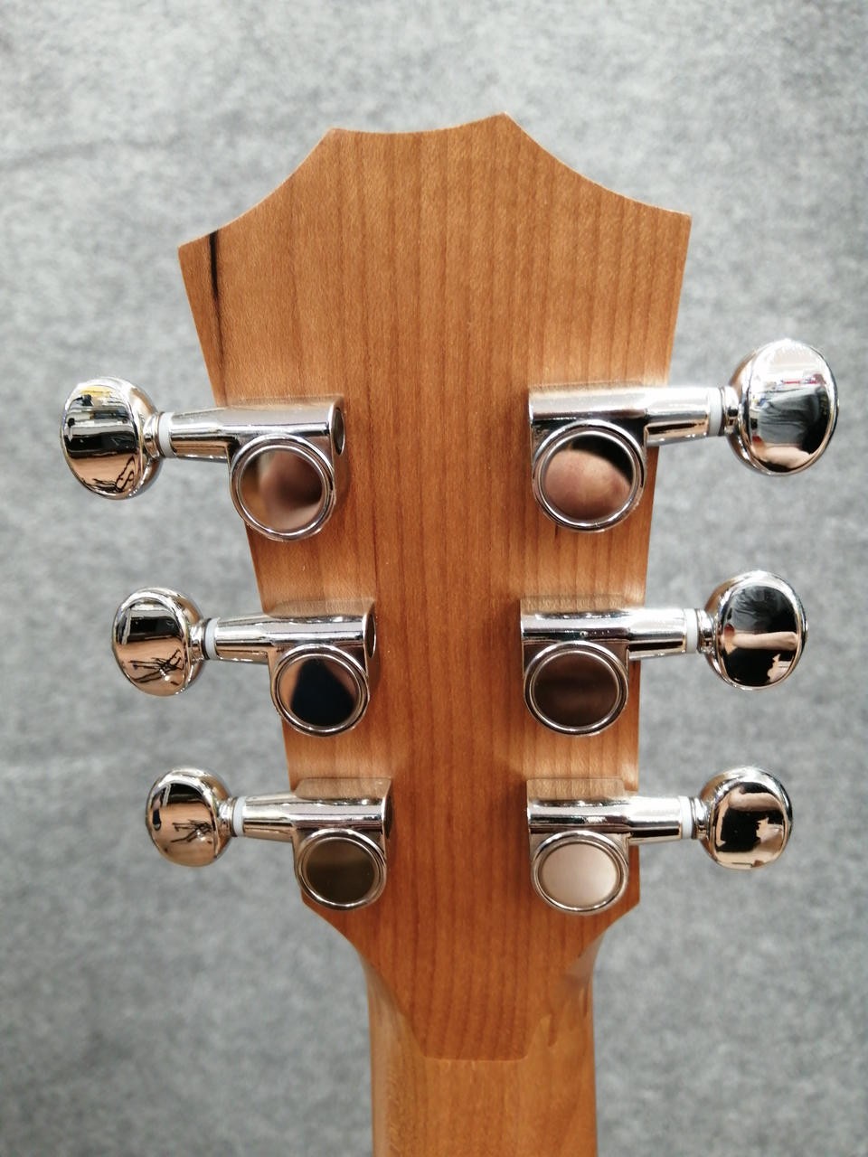 TAYLOR BT1E electric acoustic guitar