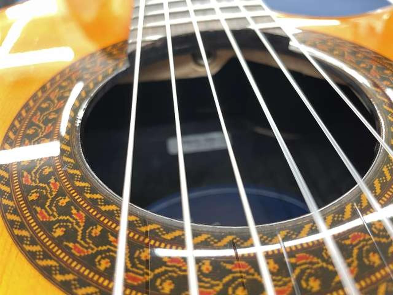 APPLAUSE AE-134 Elegat