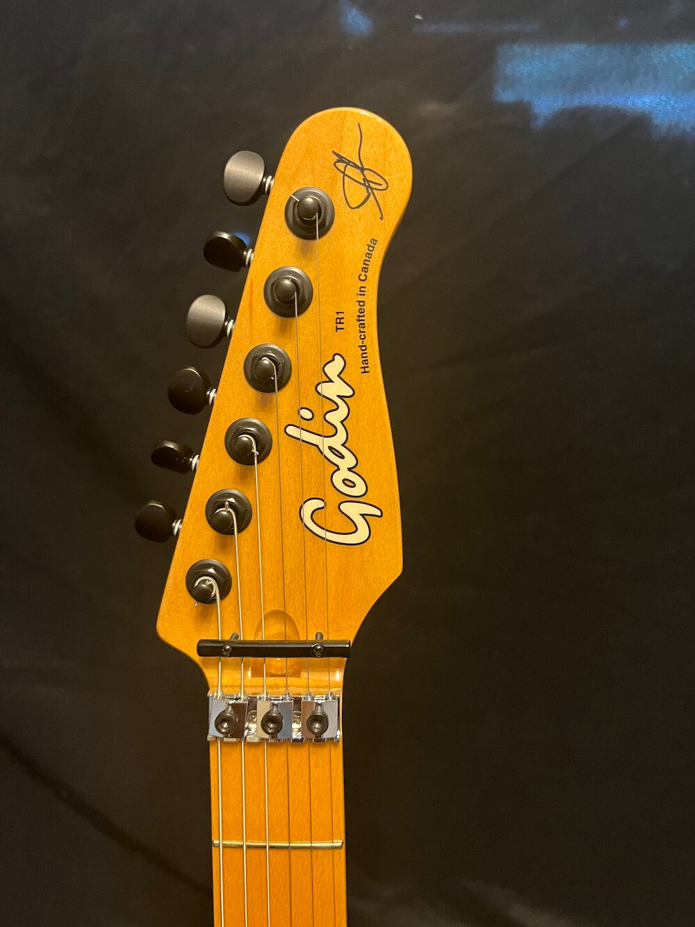Godin Honeymoon Suite Derry Grehan Signature Tread 1-Tread Custom Graphic Guitar