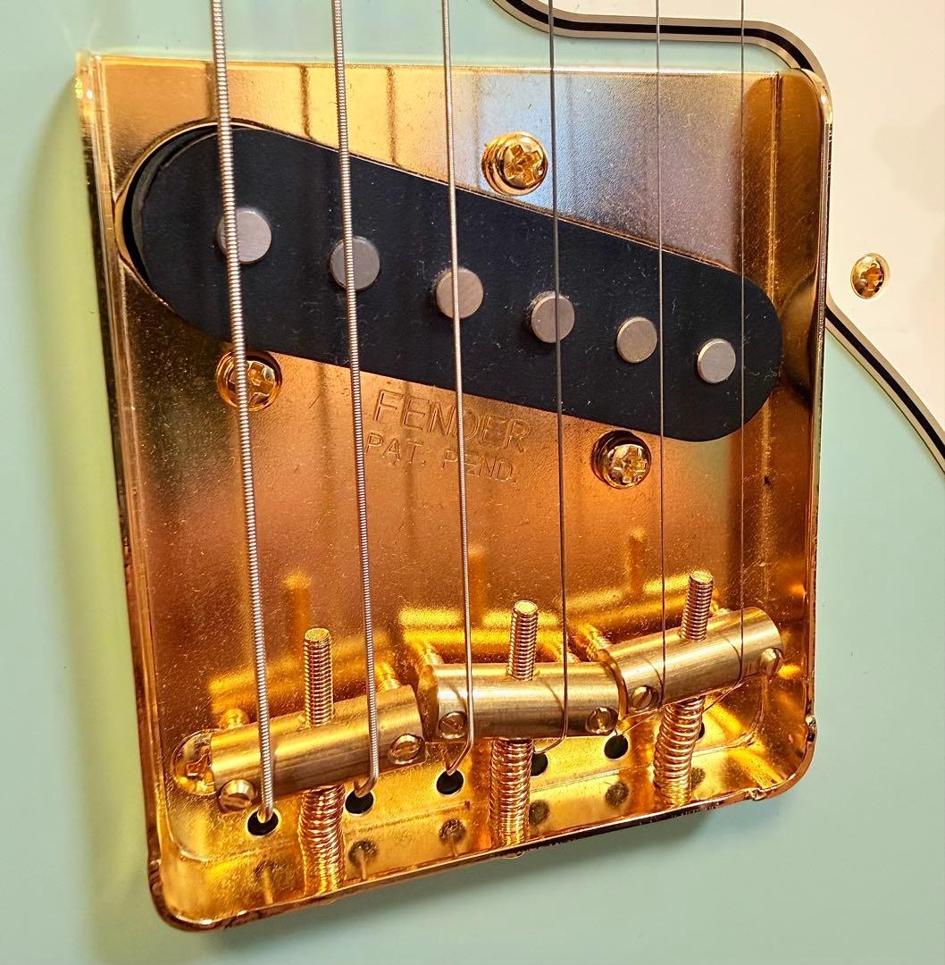 Fender Telecaster Thinline Harajuku Limited Gold Parts Kusumi No.MG293