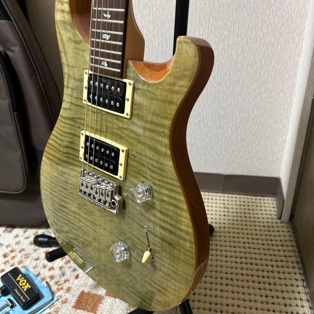 PRS SE Custom 24 Electric Guitar Safe packing!