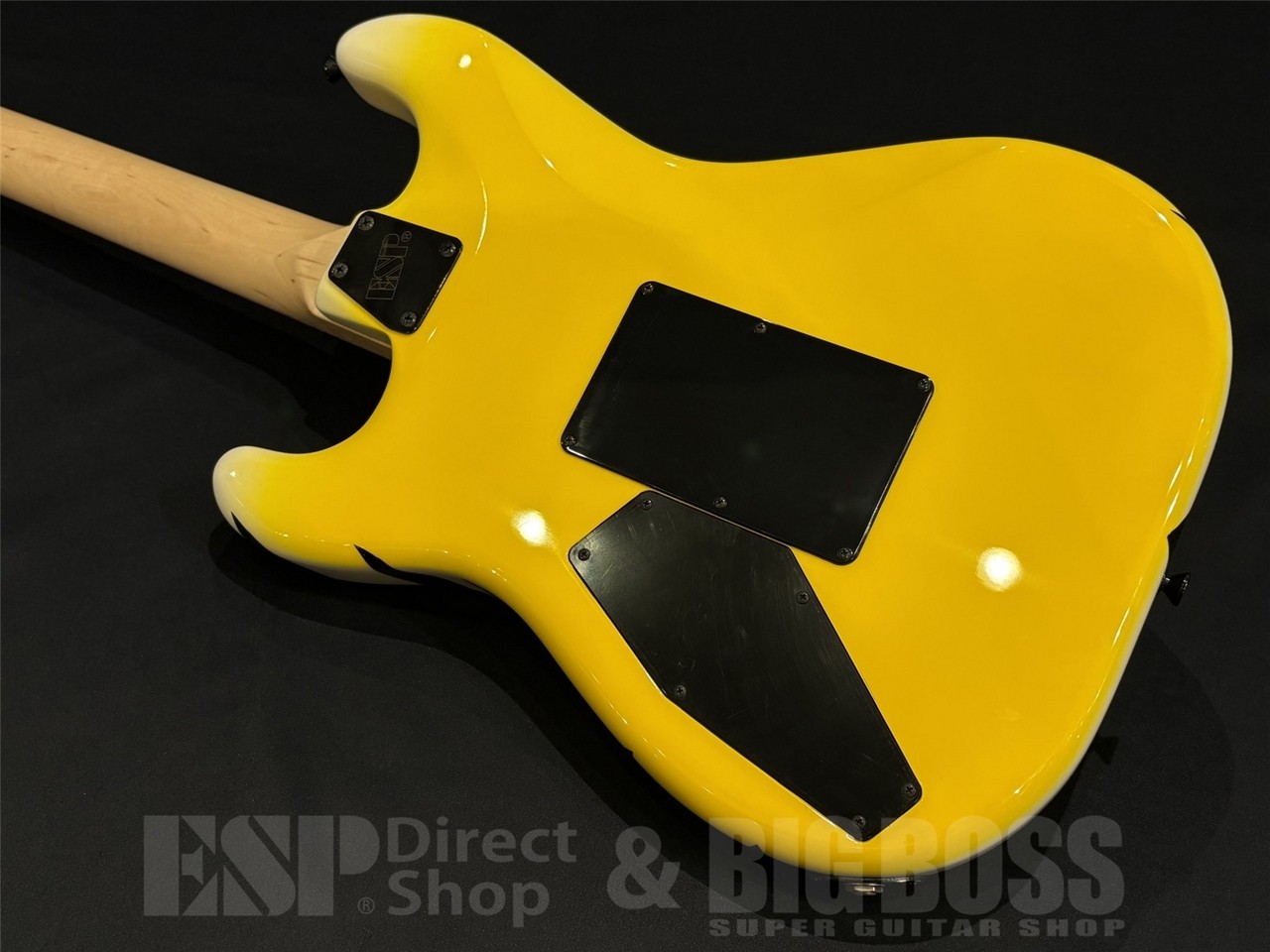 EDWARDS E-YELLOW TIGER / Yellow Tiger Graphic #GG514