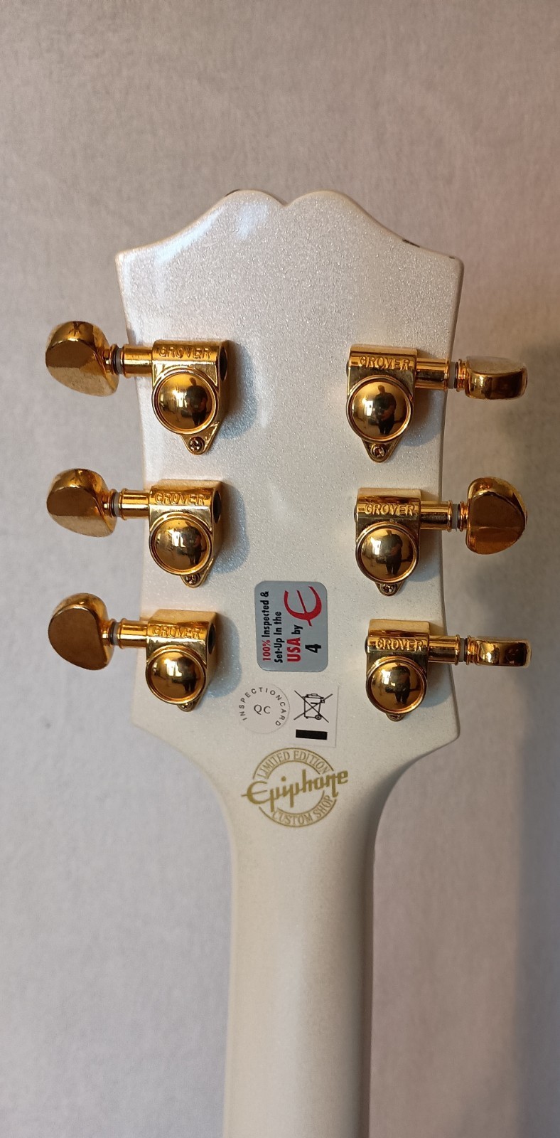 Epiphone Wildkat Royale – with Epiphone HARD CASE