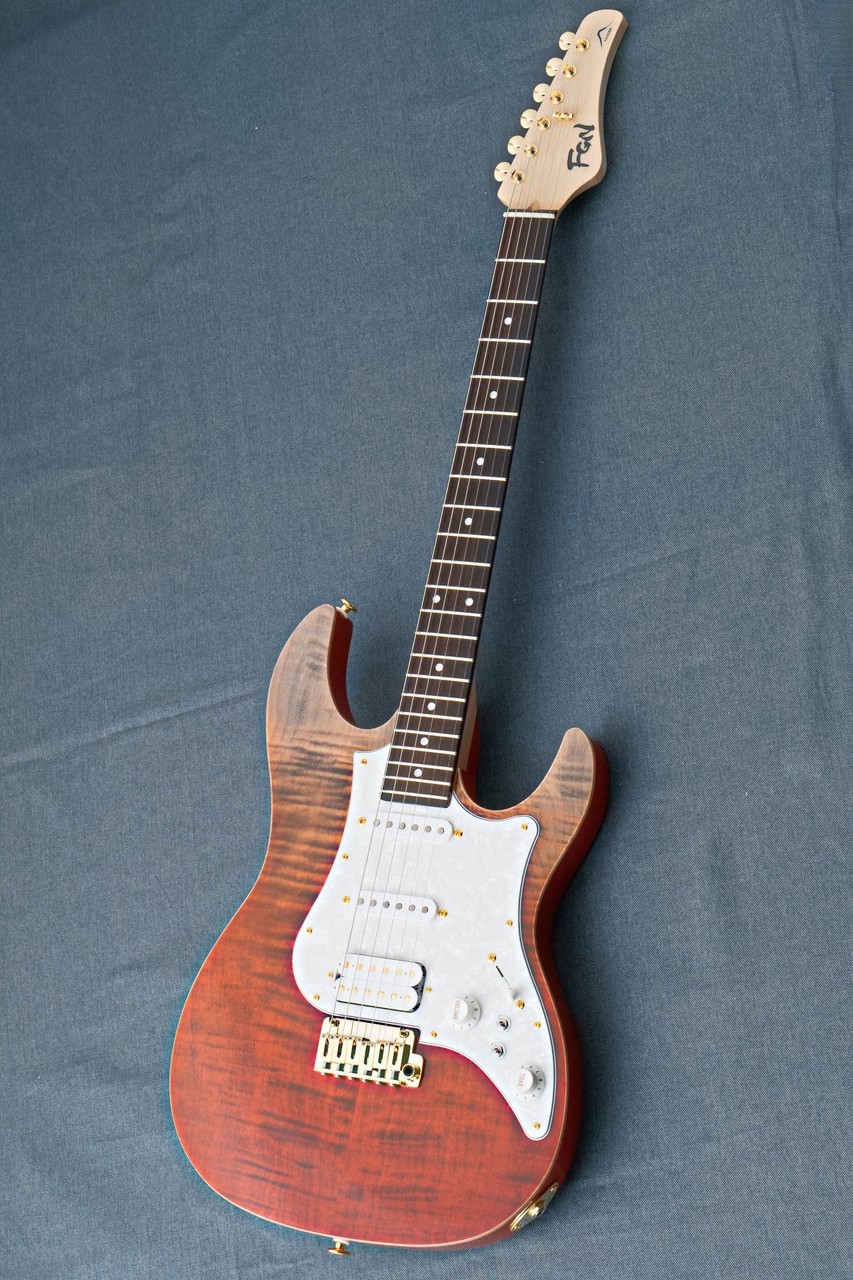 FUJIGEN(FGN) EOS2-FM-R -Ripe Kaki Gradation- RKG 3.75kg Made in Japan #GG1g1