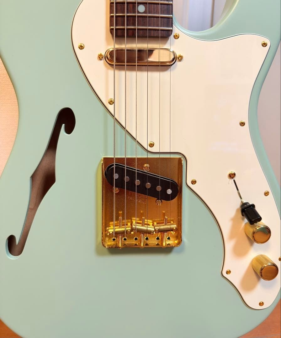 Fender Telecaster Thinline Harajuku Limited Gold Parts Kusumi No.MG293