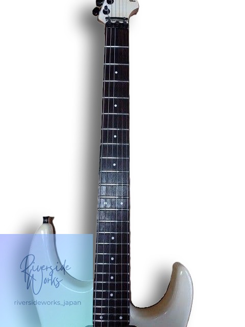 FERNANDES FR-55T with Gig Bag