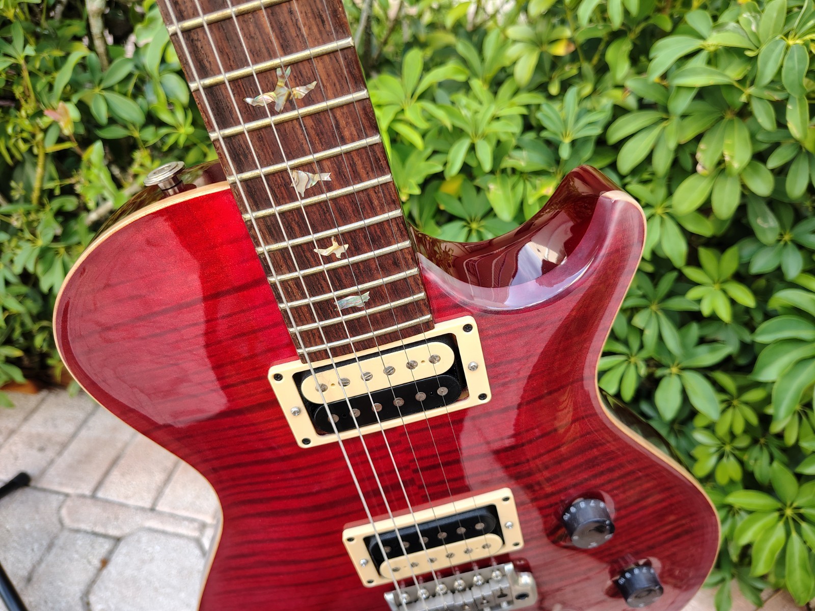 2003 PRS Singlecut Trem 10 Top Birds Black Cherry Pre-Lawsuit *UNPLAYED*