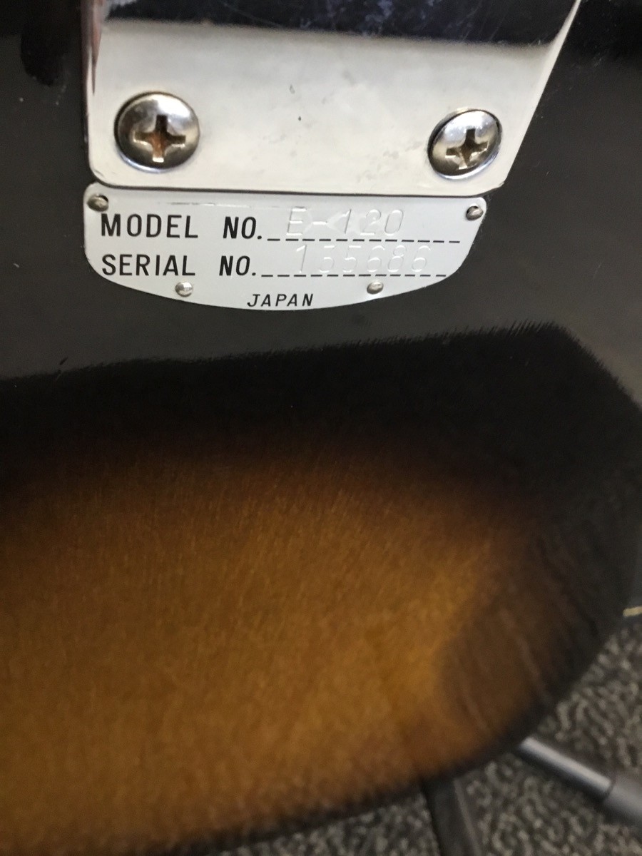 TEISCO DEL REY GUITARS E-110 (P27008139)