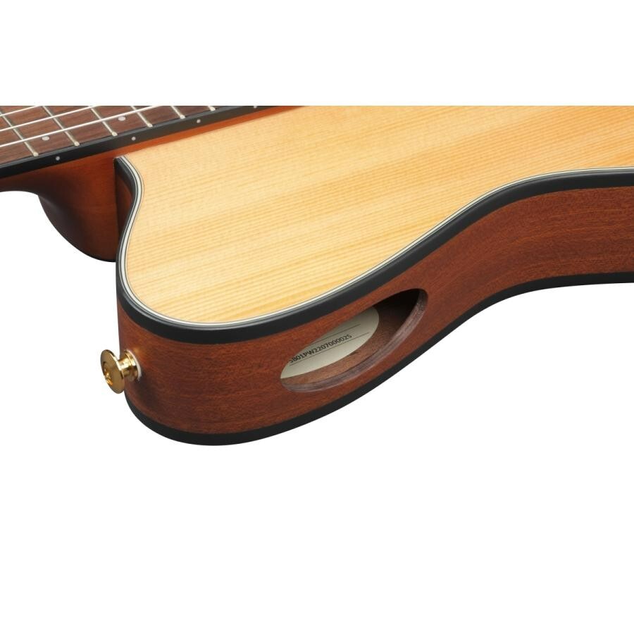Ibanez FRH10N-NTF Nylon Electric Guitar Natural Flat FR Hollow Body with Gig Bag
