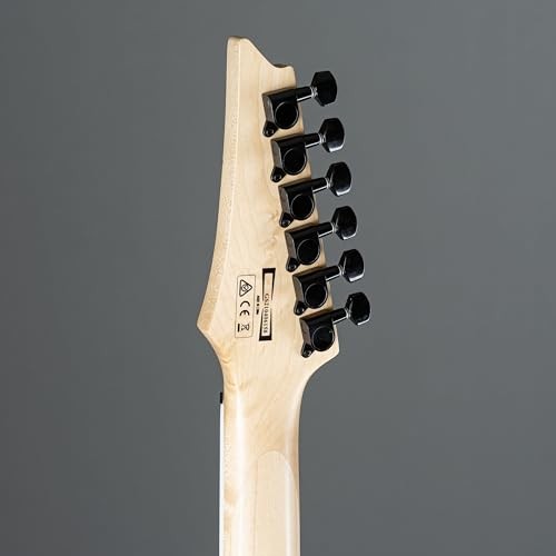 GIO Ibanez Beginner’s Electric Guitar Black Flat GRG121DX-BKF From Japan