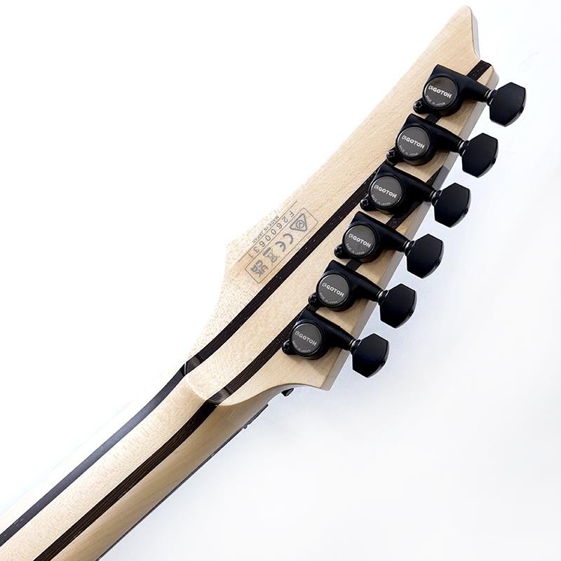 Ibanez j.custom Ax Design Lab RG8870-AGT SN.F2600631 Electric Guitar