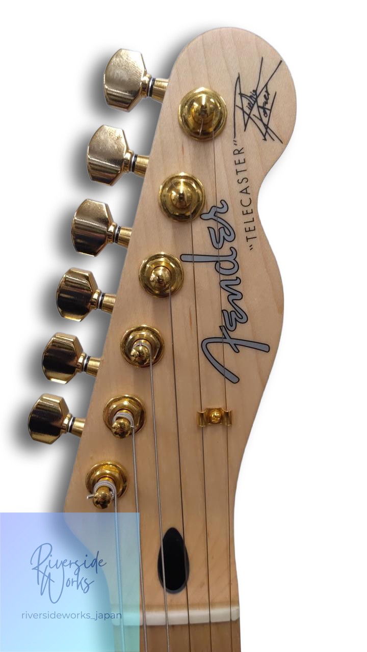 FENDER JAPAN Electric Guitar RICHIE KOTZEN BROWN TELE