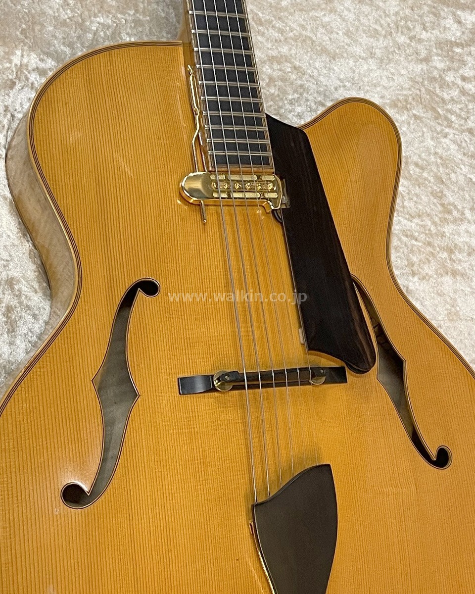 Eastman AR910CE (no260723)