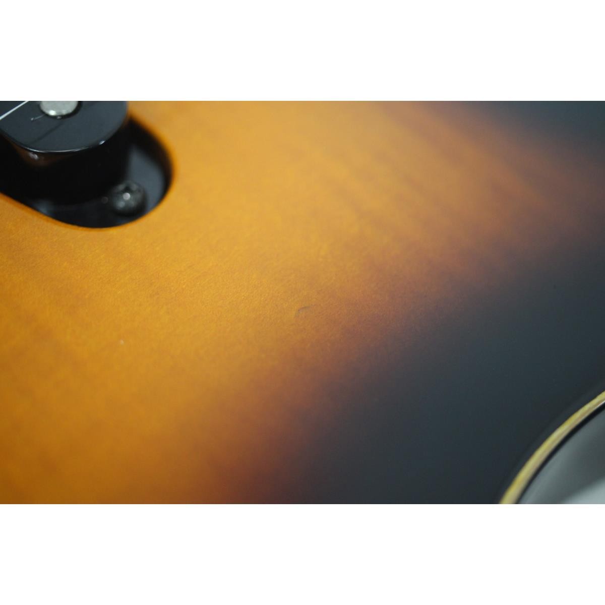 Authentic FERNANDES FR-STANDARD #270-004-111-8280