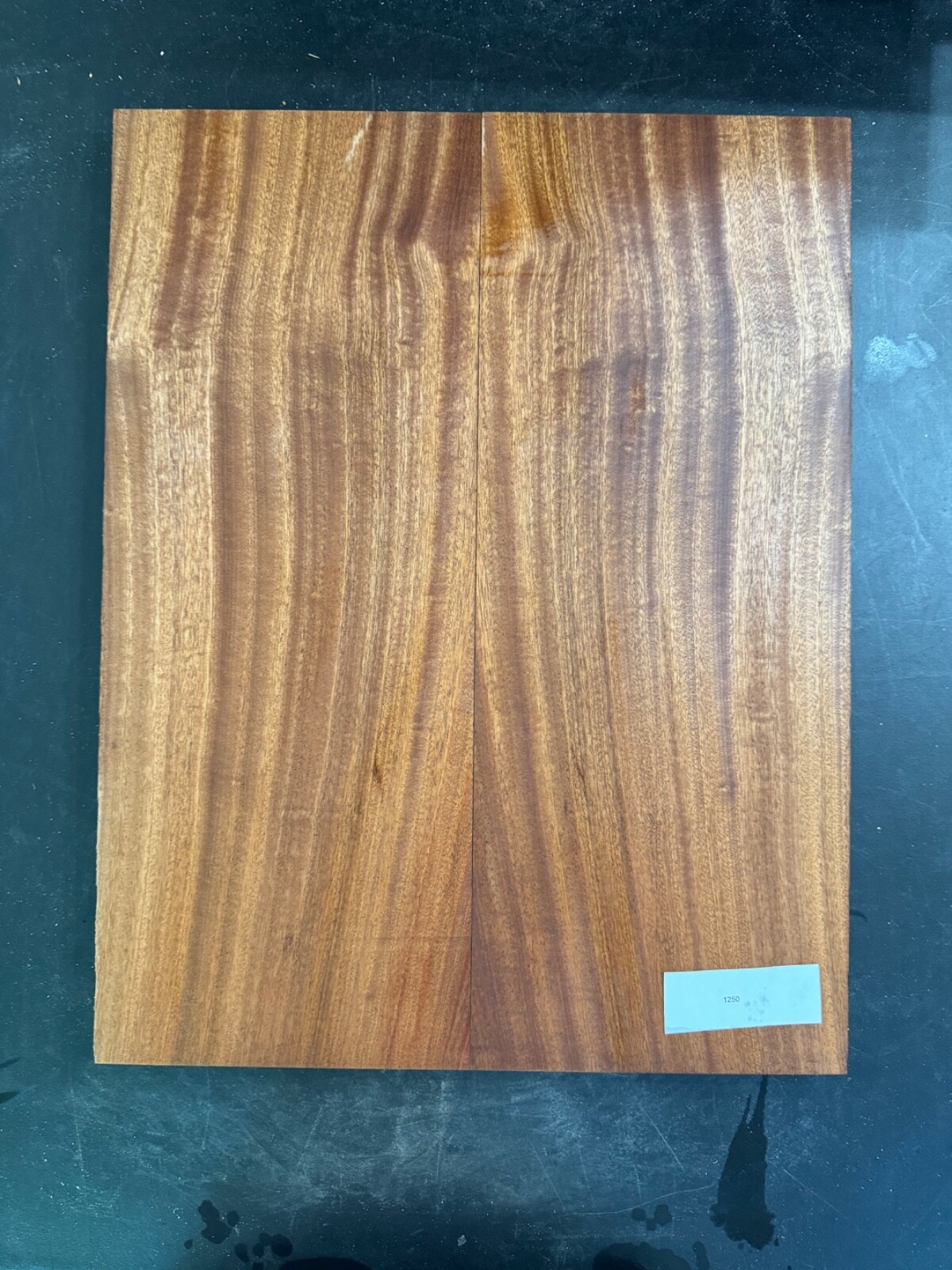GUITAR DROP/CARVE TOP LUTHIER WOOD RIBBON SAPELE 18X14X.75 #1250