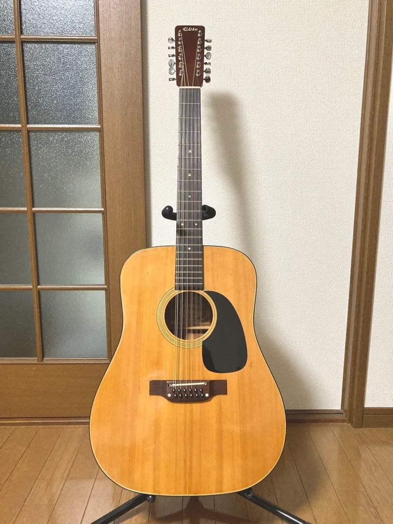 Takamine Elite WG25 12 String Acoustic Guitar Japan Vintage Rare