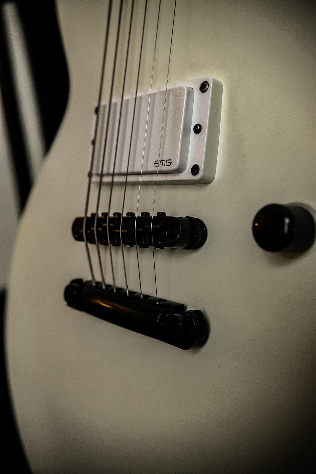 ESP LTD EC Arctic Metal Snow White Satin Electric Guitar W/ Custom GOMC case