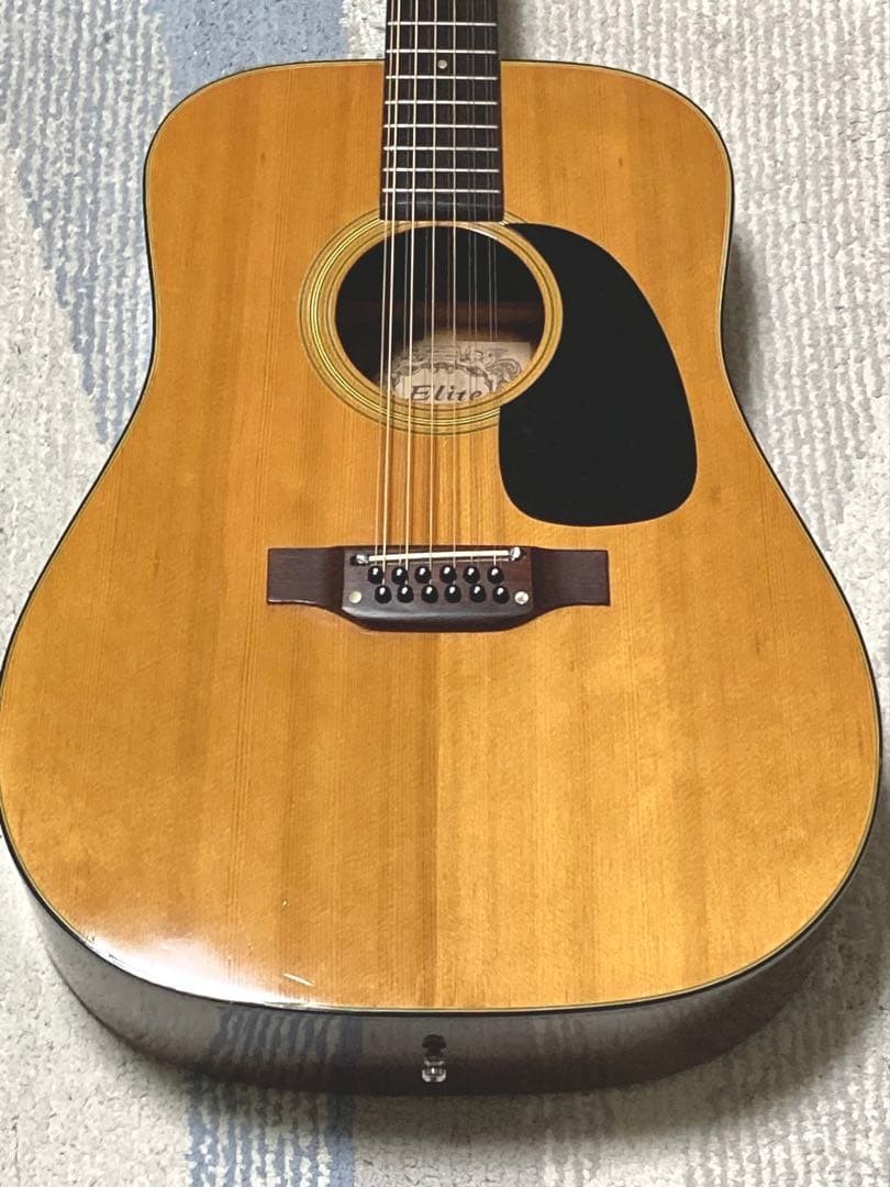 Takamine Elite WG25 12 String Acoustic Guitar Japan Vintage Rare