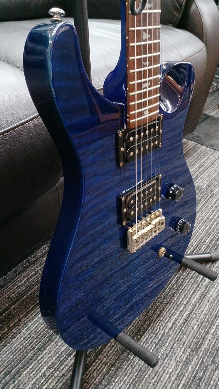 PRS SE CUSTOM 24 25TH ANNIVERSARY Electric Guitar