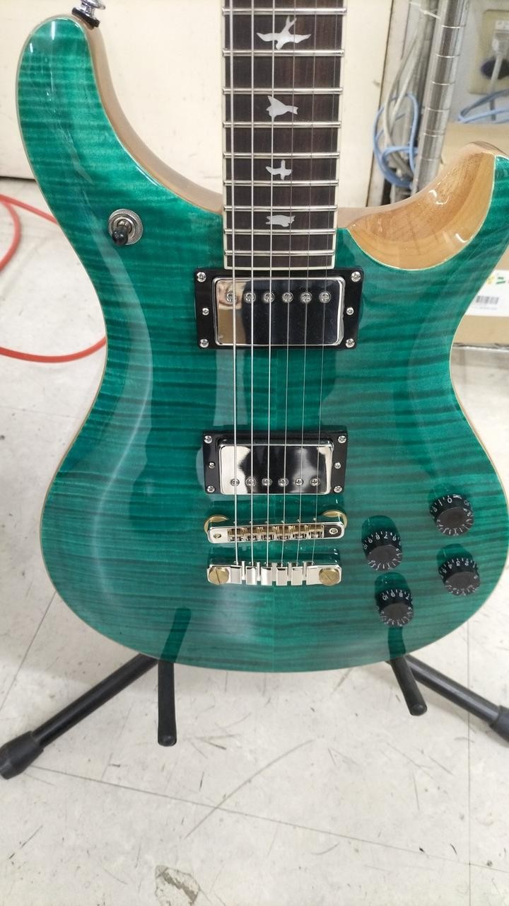 PAUL REED SMITH SE MCCARTY594 Electric Guitar