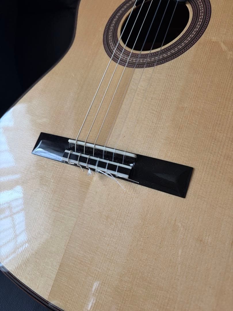 Martinez hauser with case
