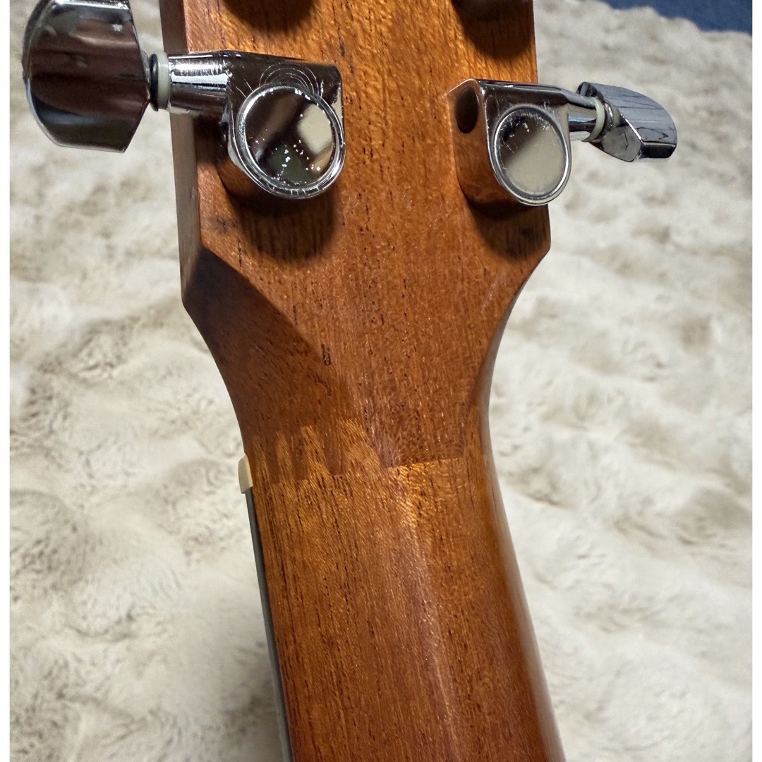 Taylor 301-MA