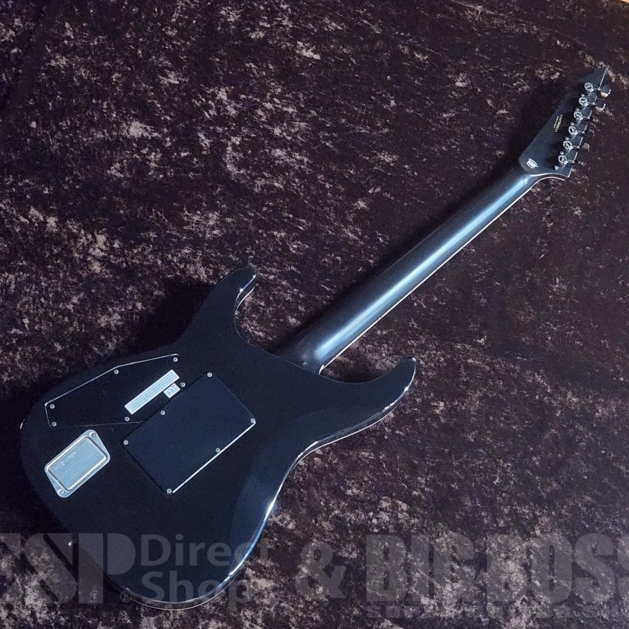 E-II / HORIZON FR-II 【Tiger Eye Sunburst】Electric Guitar