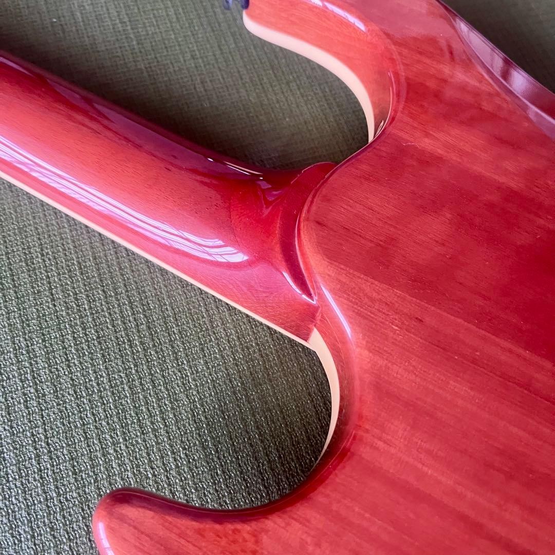 Prsduncan Desigend Glover With Gig Bag