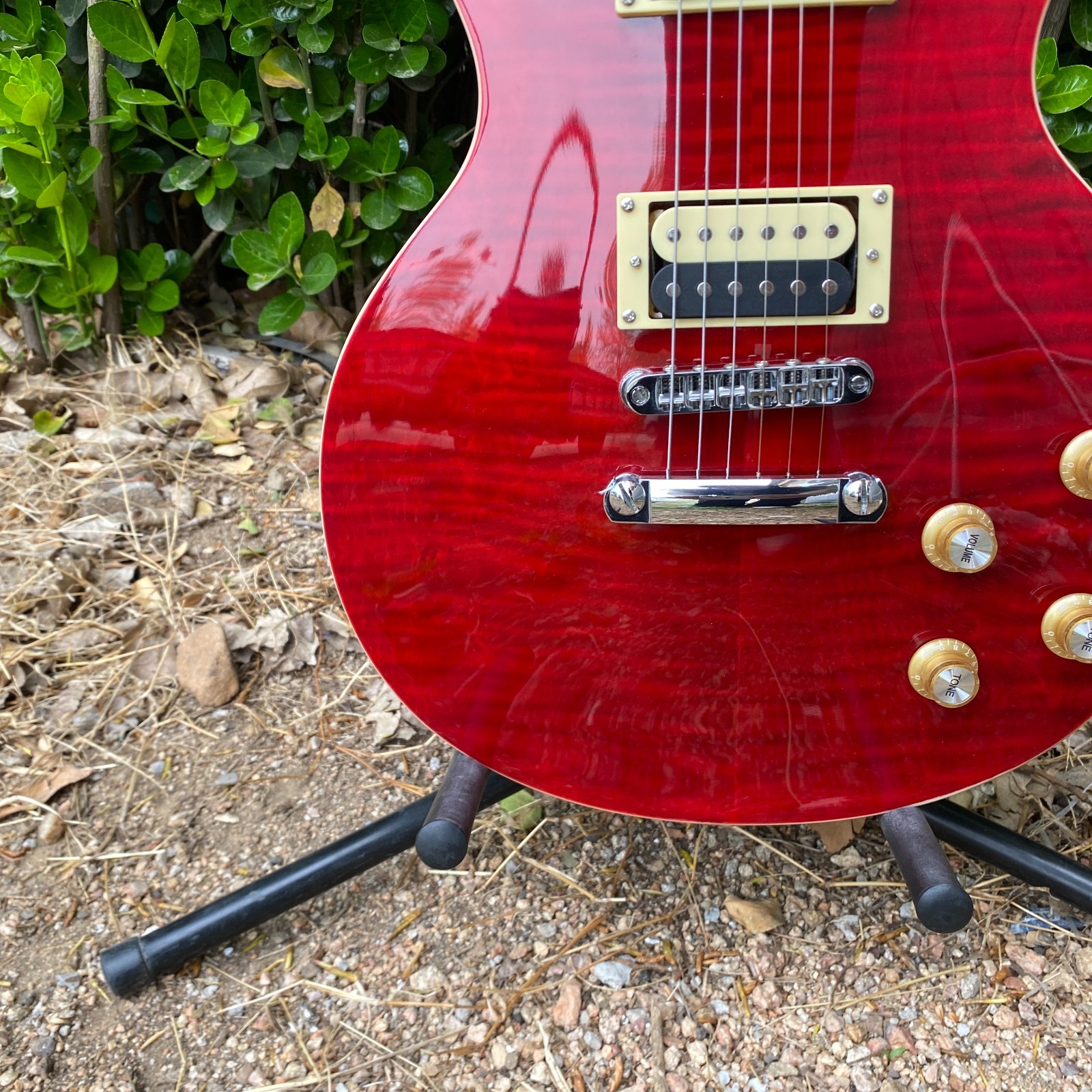 Zebra Pickups Electric Guitar flame maple top Chrome hardware rosewood fretboard