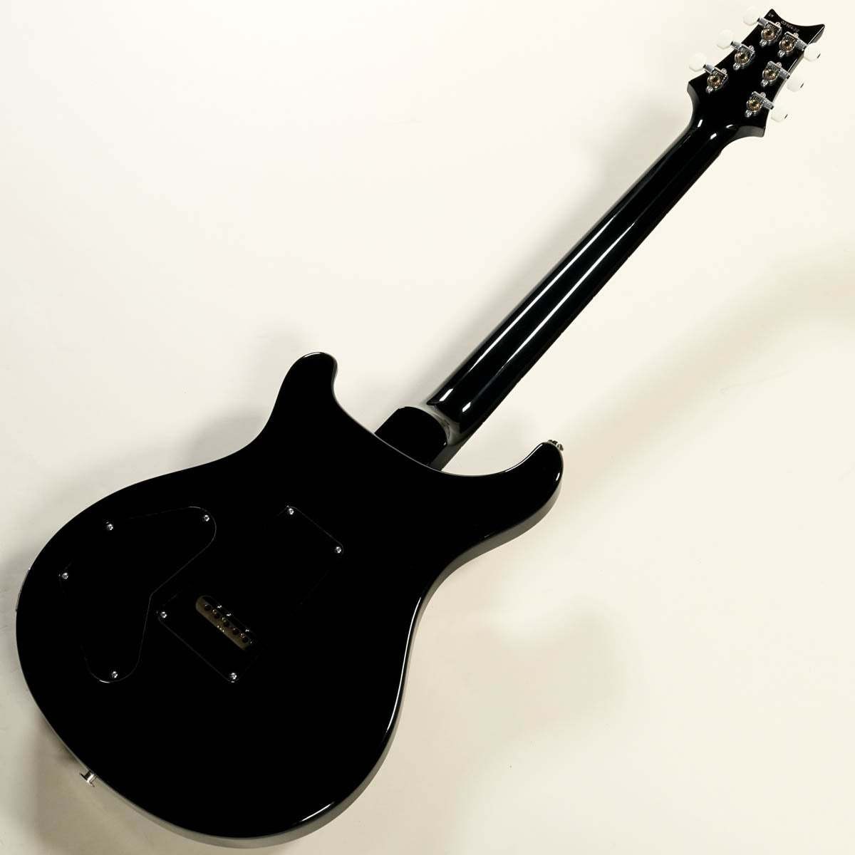 Paul Reed Smith PRS 2024 DGT Birds Inray Custom Color