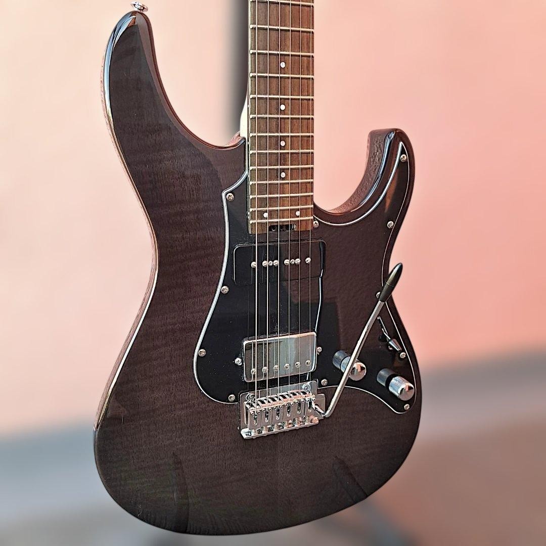 GrassRoots G-SNAPPER-CTM P ESP Flamed Maple Veneer Electric Guitar Black Gray