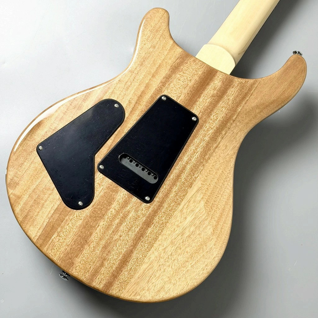 Paul Reed Smith (PRS) SE Custom 24 -Blue Matteo (Natural Back)- 3.66kg Guitar