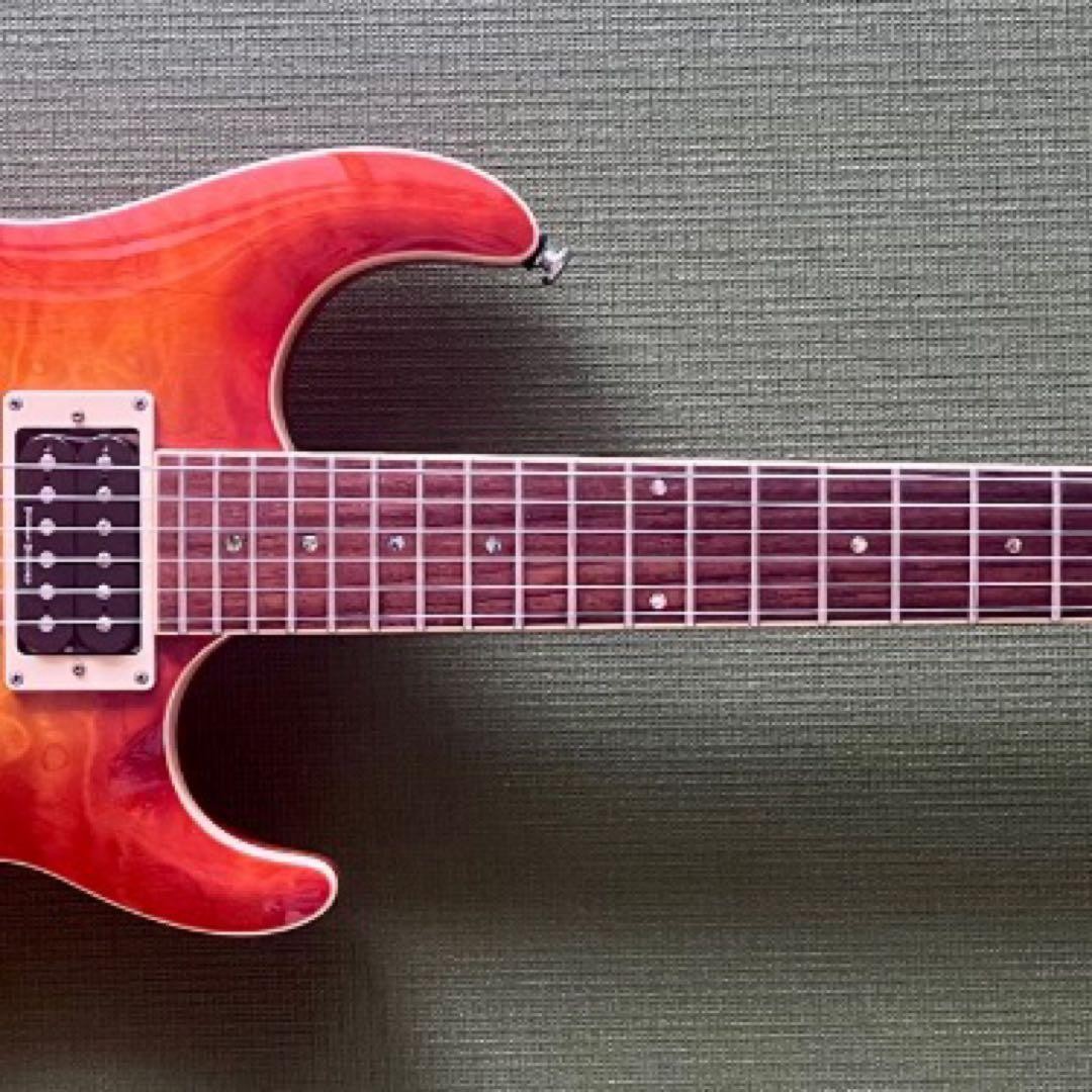 Prsduncan Desigend Glover With Gig Bag
