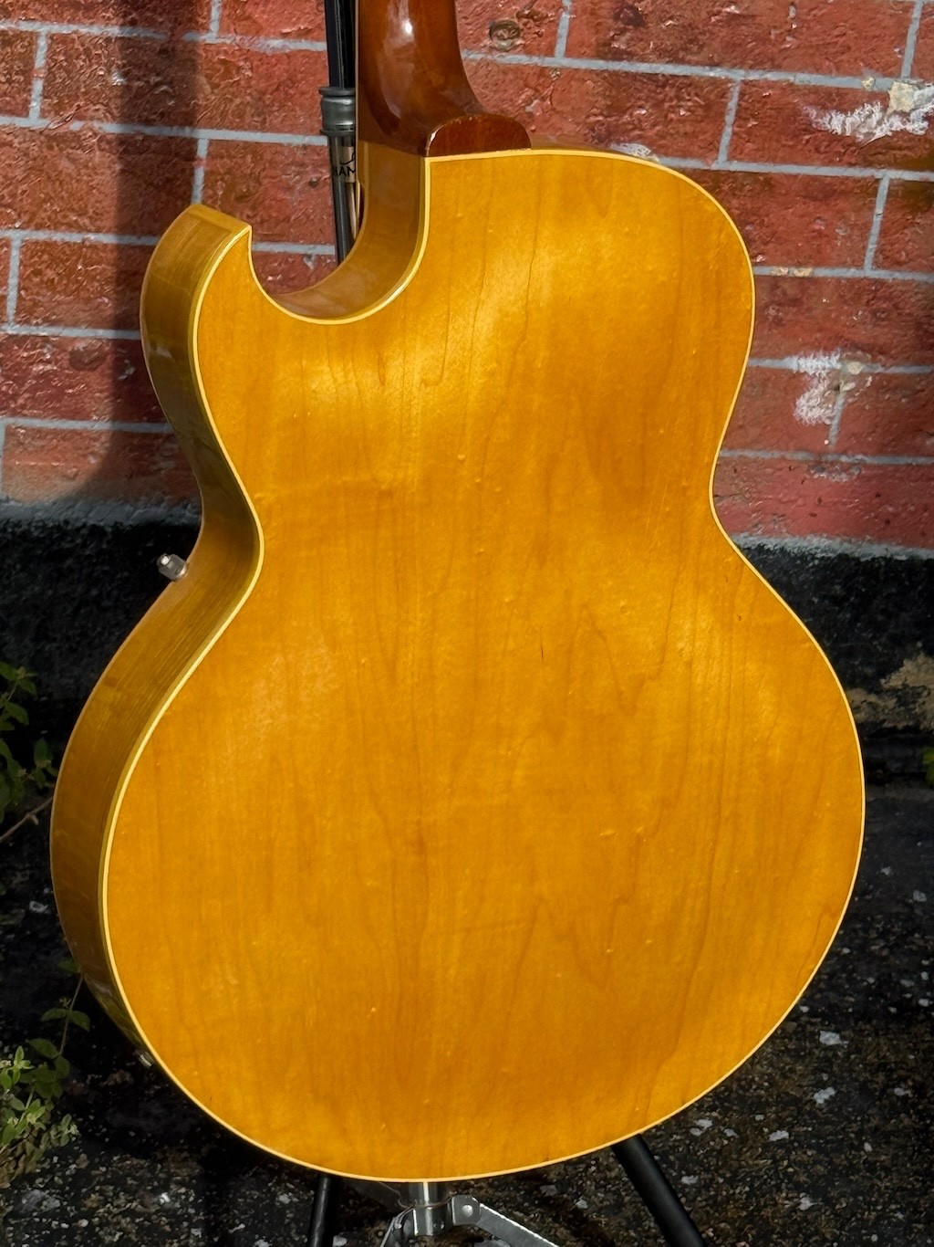 1961 Gibson ES-175DN ultra rare & clean Blonde w/2 PAF pickups w/wide flat neck.