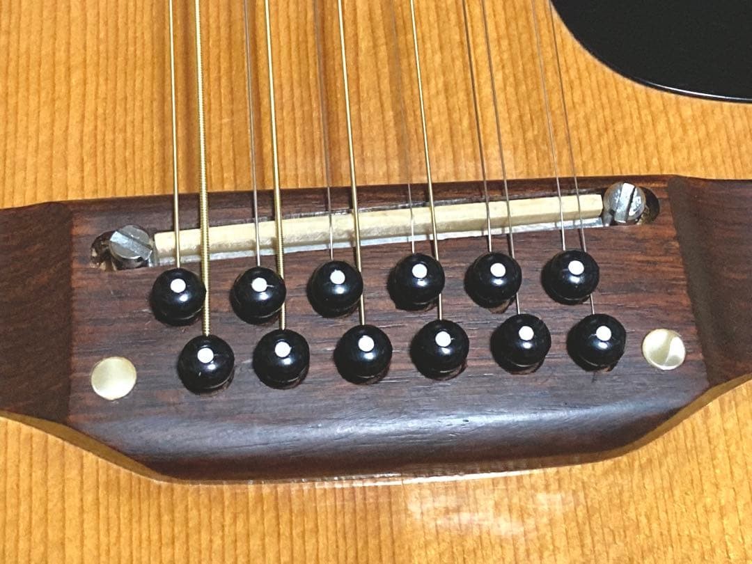 Takamine Elite WG25 12 String Acoustic Guitar Japan Vintage Rare