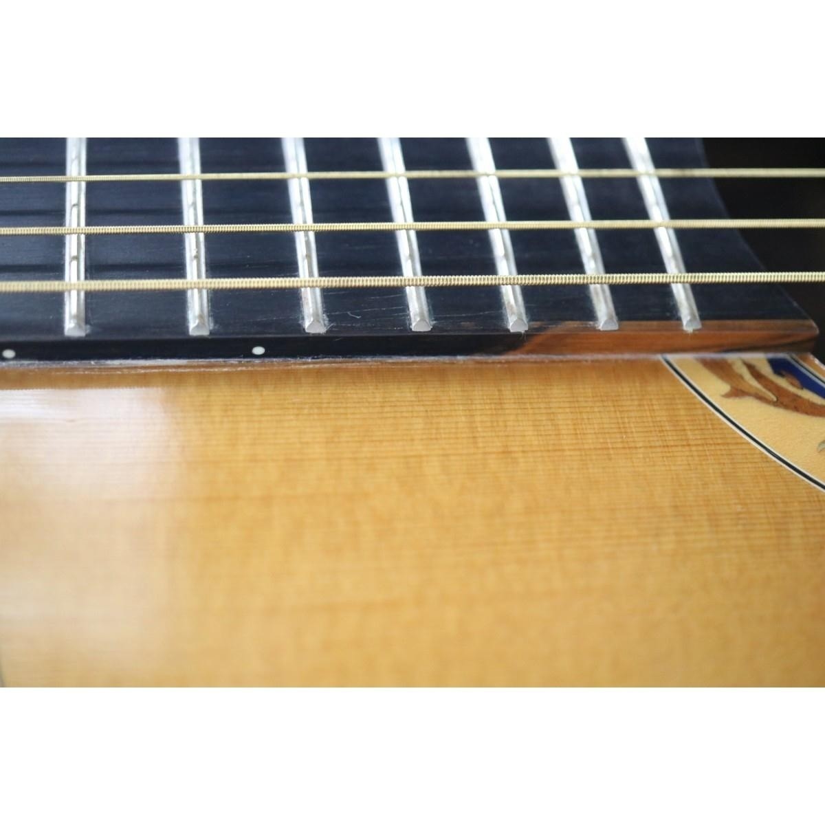 Takamine LTD 2001 Dolphin Limited Edition Acoustic Guitar Japan