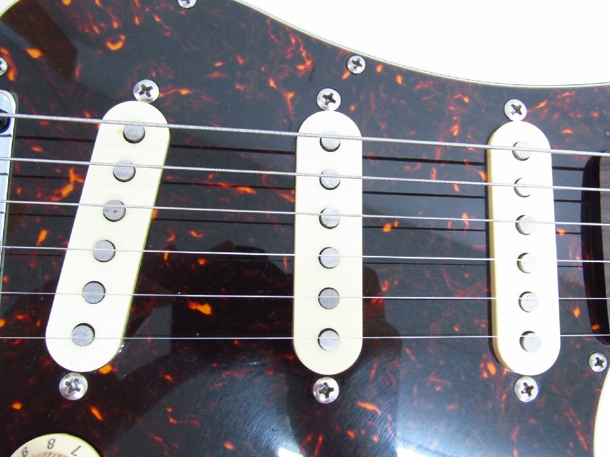 Fgn Fujigen Neo Classic Ncst-M10 Electric Guitar Arm With Genuine Soft Case G515