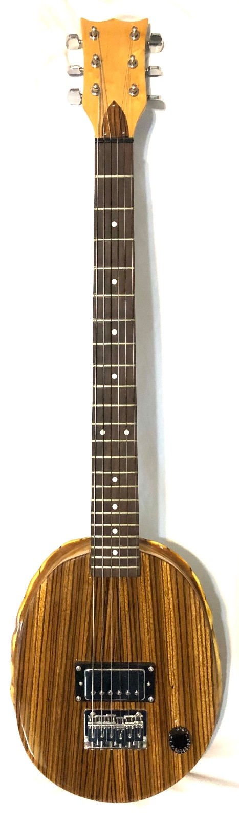 Turtle Shell Electric Guitar