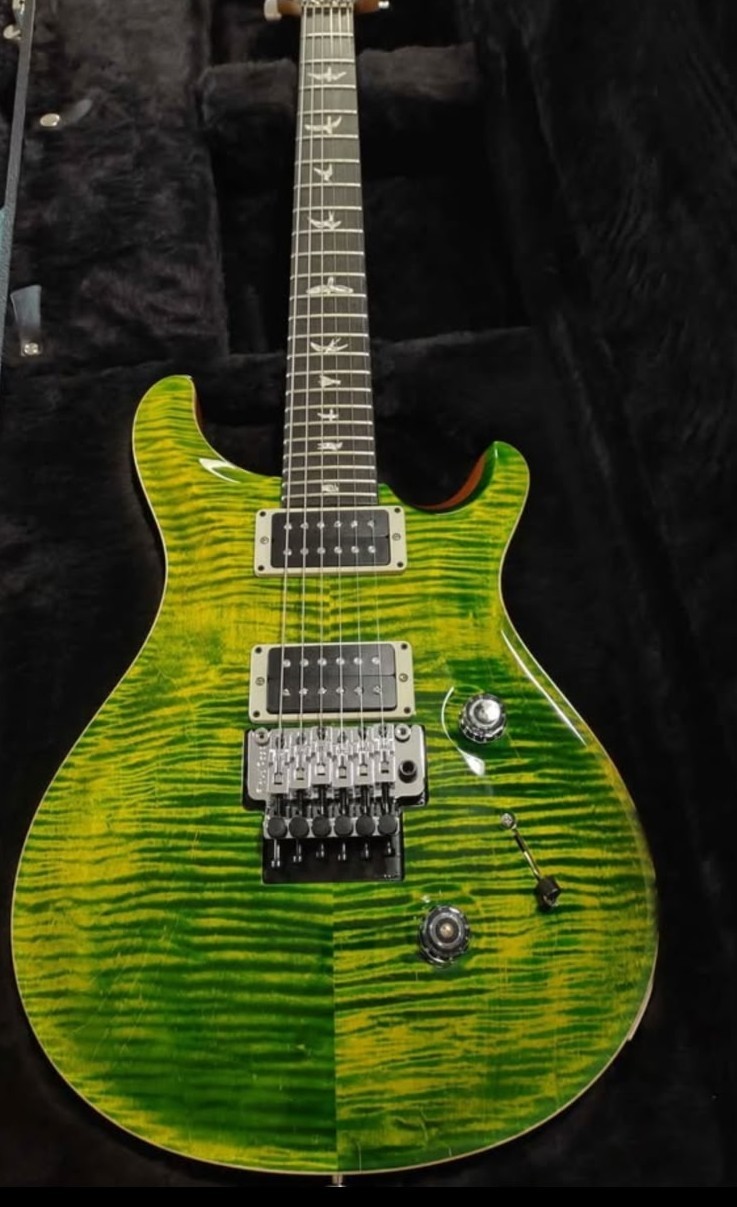 2022 PRS Custom 24 10 Top Electric Guitar – Eriza Verde with Hard Case