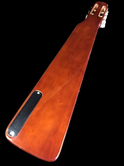NEW 6 STRING STRAT STYLE CUSTOM HAWAIIAN LAP STEEL ELECTRIC GUITAR with GIG BAG
