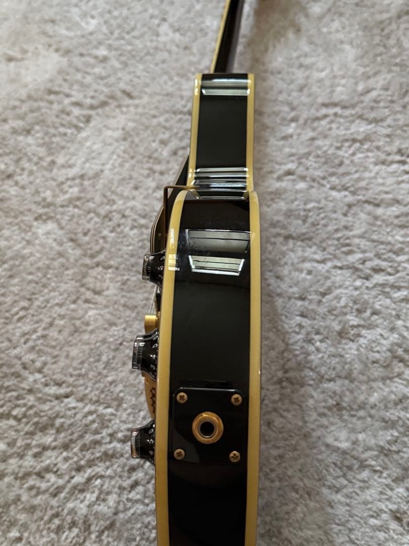 Burny RLC Les Paul Custom Safe packing!