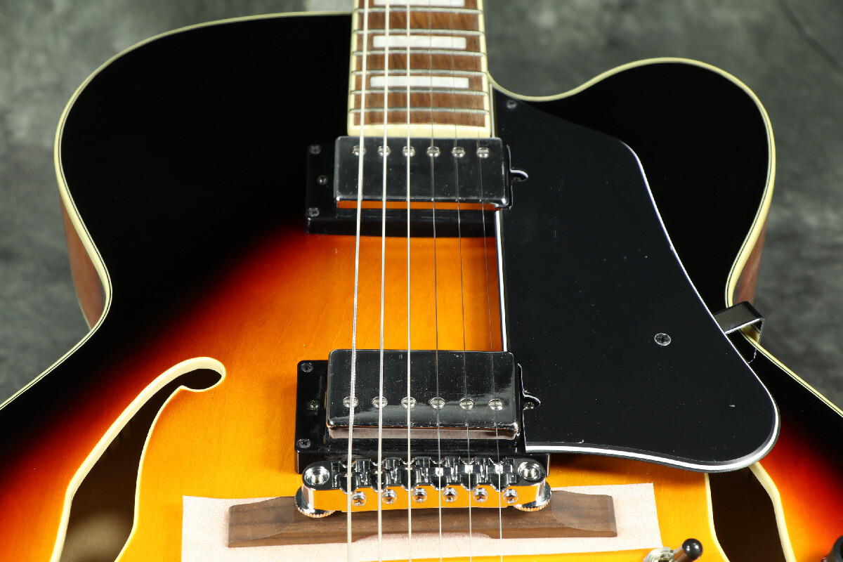 Ibanez AF75-BS Brown Sunburst with gig bag