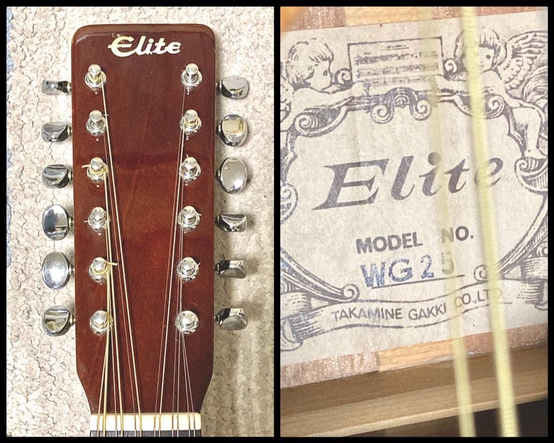 Takamine Elite WG25 12 String Acoustic Guitar Japan Vintage Rare