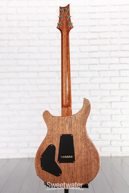 PRS DGT Electric Guitar with Bird Inlays – Tiger Eye, 10-Top