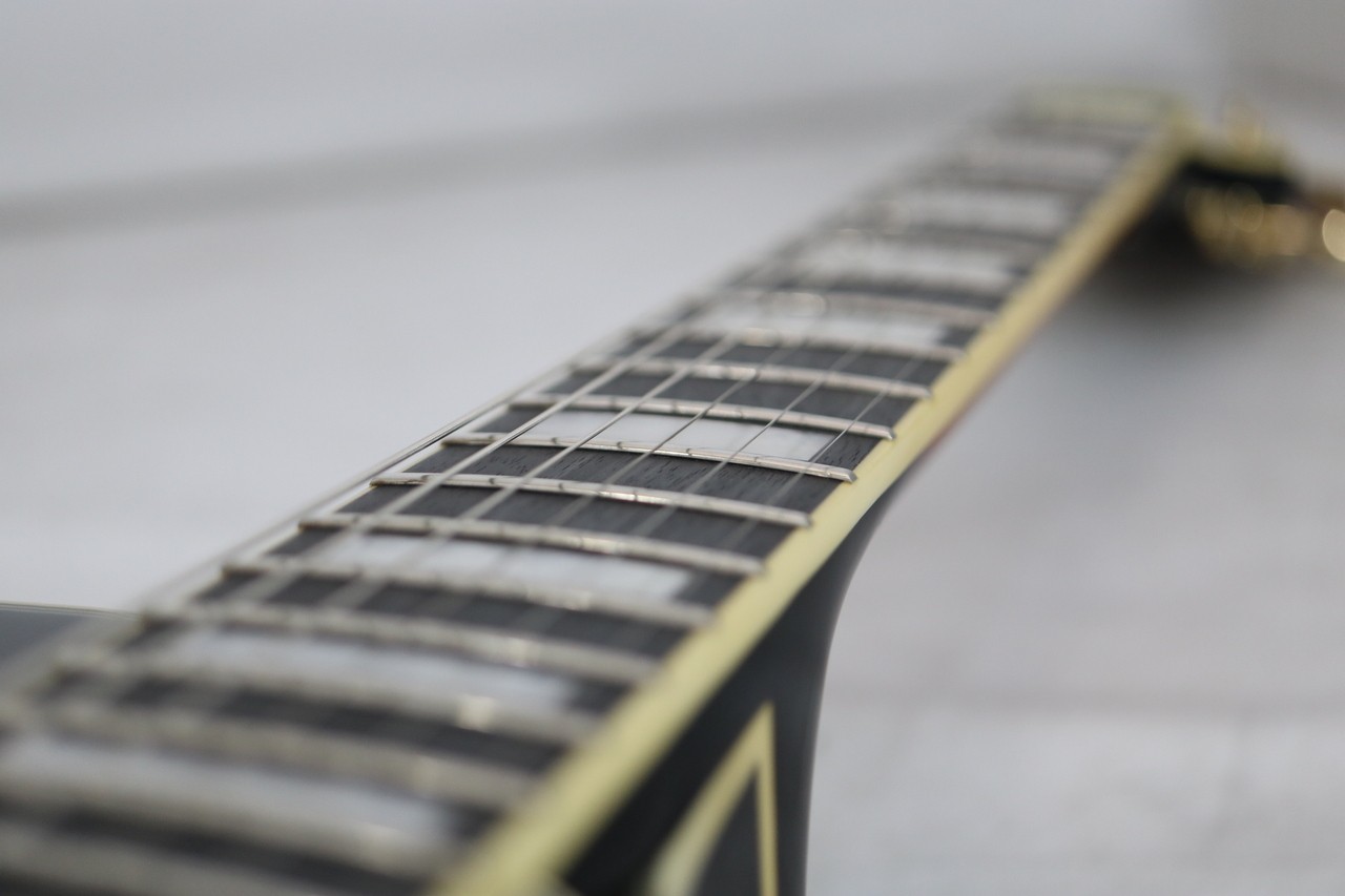Ibanez AF95-BS Electric Guitar #BE14237